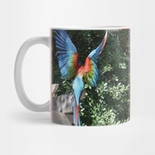 Macaw Mug